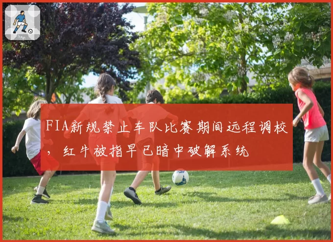 FIA新规禁止车队比赛期间远程调校，红牛被指早已暗中破解系统