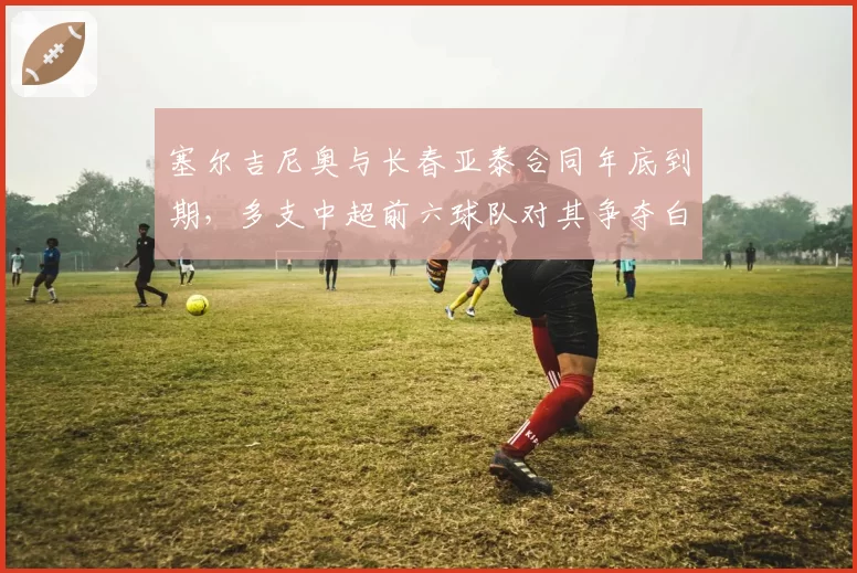 塞尔吉尼奥与长春亚泰合同年底到期,多支中超前六球队对其争夺白热化